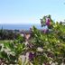 Vista esterna