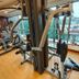 Palestra