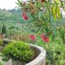 Vista esterna