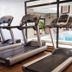 Palestra