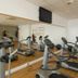 Palestra