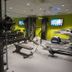 Palestra