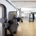 Palestra