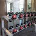 Palestra