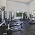 Palestra