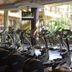 Palestra