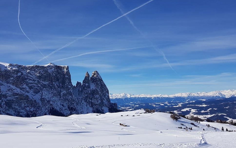 Altro Foto