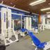 Palestra