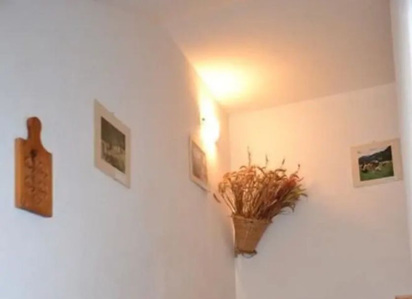 Scale Foto
