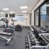 Palestra