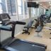 Palestra