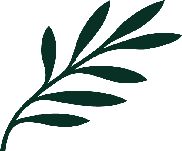 Cyprus Airways