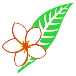 Lao Airlines